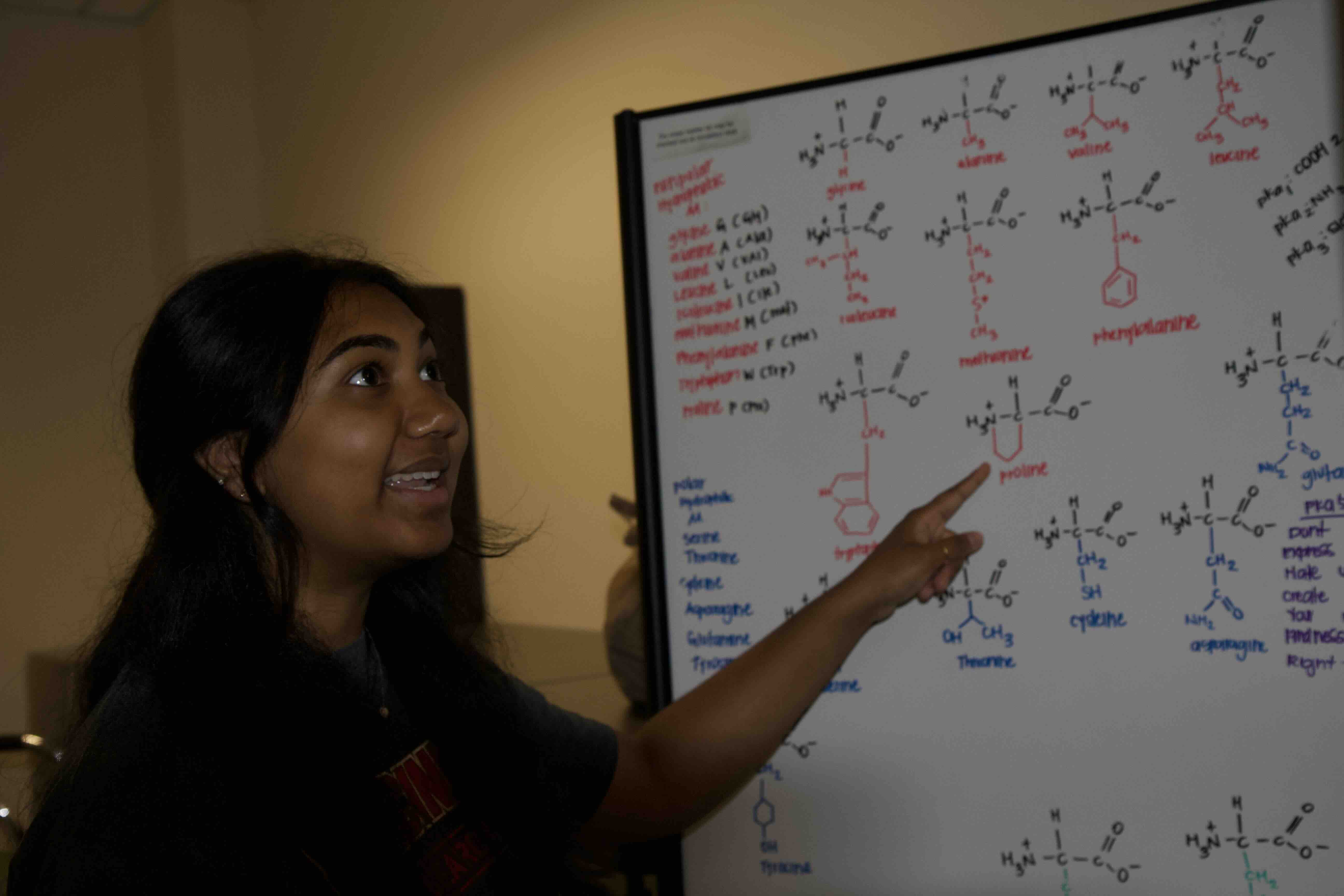 Kaaviya pointing at a whiteboard