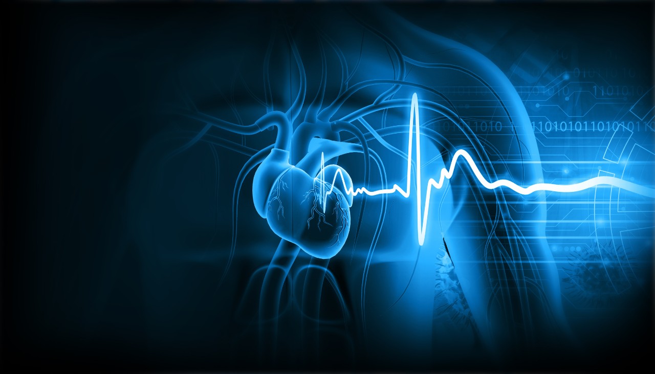 Illustration of the human heart and ECG graph lines.