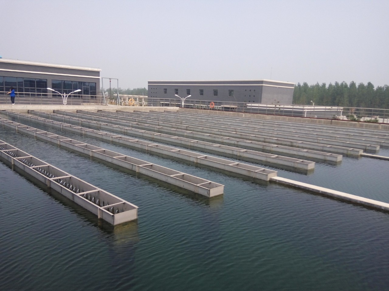 exterior view of water treatment plant's sedimentation tanks