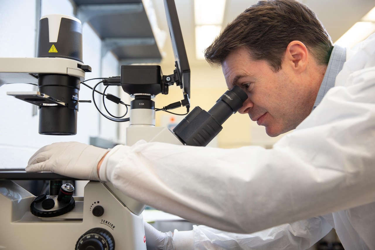 231006aPhoenix008.CR2, 231006aPhoenix008.CR2 231006aPhoenix008.CR2
Lab, Research
Dr. Tim Phoenix, cancer researcher in the College of Pharmacy, is part of a collaborative multi-institutional group that has received a National Cancer Institute grant to study how to improve treatment for deadly pediatric brain tumors.